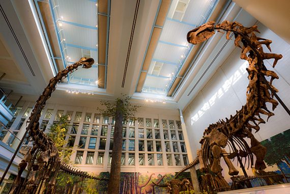 Carnegie Museum Of Natural History – PulpFest